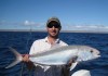 Exmouth amberjack